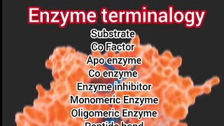 Enzyme Terminalogy [upl. by Refeinnej]