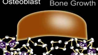 Bone and Calcium Physiology [upl. by Anehta]