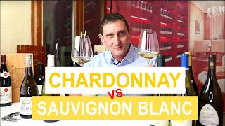 Chardonnay Vs Sauvignon Blanc Comparing the 2 Most Popular Types of White Wine [upl. by Whatley]