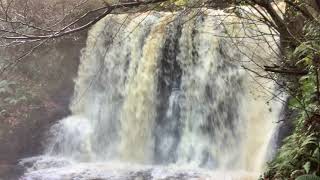 The Waterfall at Glenariff Forest Park [upl. by Floyd786]