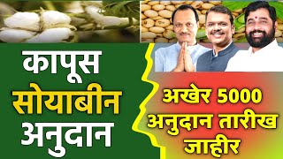 या तारखेला सोयाबीन कापूस अनुदान  bhavantar yojana  soyabean kapus anudan [upl. by Shalna804]