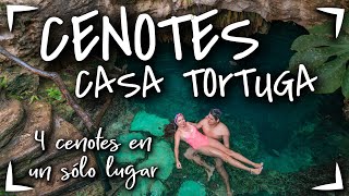 4 CENOTES TULUM 400 MXN 🔴 CENOTES CASA TORTUGA ► CENOTES baratos en Riviera Maya Playa del Carmen [upl. by Eenehs]