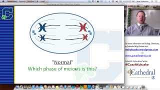 Karyotyping amp Genetic Disorders [upl. by Ethelred532]