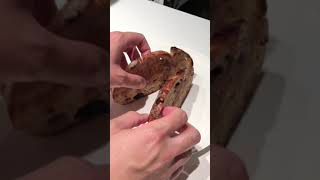 The BLT Enough said ForYouPage HomeCookingShow YouTubeShorts [upl. by Branden]