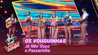 Os Vouguinhas  “Já Não Ouço o Passarinho”  Provas Cegas  The Voice Gerações [upl. by Olympie]