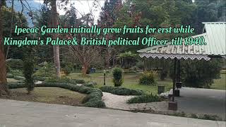 Ipeca Garden Gangtok Sikkim [upl. by Annohsal]