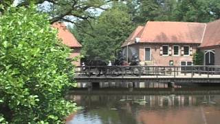 KOETSENKEERLS 2011mp4 [upl. by Bannasch]