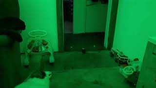 PARANORMAL ACTIVITY CAUGHT ON CAMERA AT MY HOME [upl. by Catton]