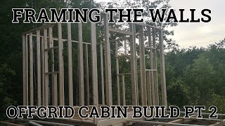 Offgrid Cabin Build Pt 2 Framing the Walls [upl. by Akemrehs796]