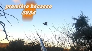 première bécasse 2024 [upl. by Wylma]