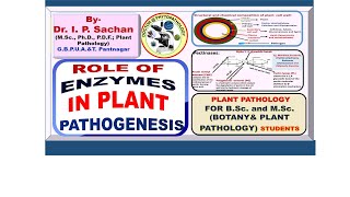 role of enzymes in plant pathogenesis [upl. by Gunthar]