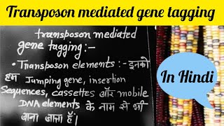 transposon mediated gene tagging in Hindi [upl. by Ayamat]