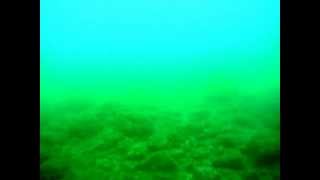 Underwater view of the Yakutat Bay Part 1 [upl. by Akitnahs]