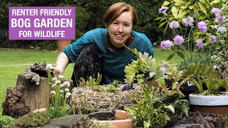 How to make a bog garden in an old tyre  Nature Break [upl. by Bowerman]