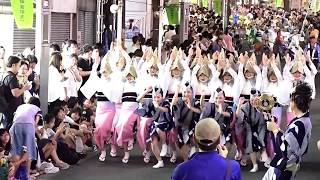 東京神楽坂連 神楽坂まつり2018 阿波踊り大会 神楽坂通り会場 流し踊り [upl. by Cthrine]