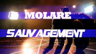 TEASER MOLARE quotSAUVAGEMENTquot Officiel HD [upl. by Grevera]