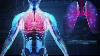 development of trachea  development of respiratory system part 3 [upl. by Gilliam875]