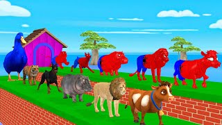 Paint Animals Spiderman Mammoth Cow HippoTiger Lion Fountain Crossing Transformation Animals Cartoon [upl. by Innes]