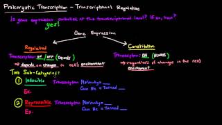 Prokaryotic Transcription Part 1 of 5  Transcriptional Regulation [upl. by Hogarth779]