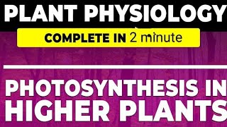 Photosynthesis in higher plants in one shot class 11th neet 2025 complete ncert notes biobyayush [upl. by Brookhouse]