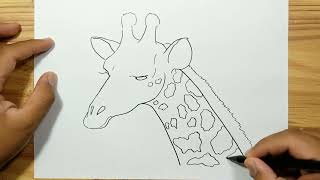 How to draw GIRAFFE HEAD [upl. by Kooima870]