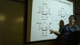 Elem Organic Disaccharides amp Polysaccharides Lecture [upl. by Januarius6]