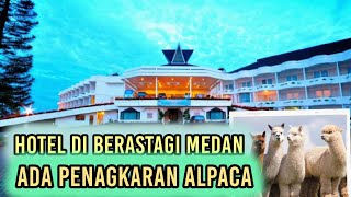 Ada Penangkaran Alpaca Di Hotel Ini Berastagi Medan Sumatera Utara [upl. by Dugald453]