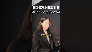 legato레가토가 어렵게 느껴지는 이유al dolce guidamianna bolenaGDonizetti전공자시험콩쿨 [upl. by Alurd]