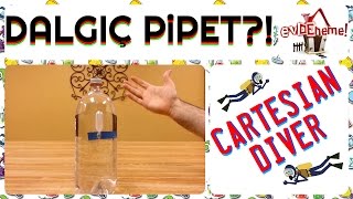 Cartesian Diver Dalgıç Pipet [upl. by Sugirdor]