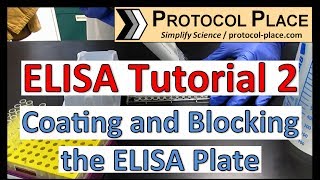 ELISA Tutorial 2 Coating and Blocking the ELISA Plate [upl. by Whorton795]