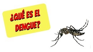 ¿Qué es el dengue síntomas diagnóstico tratamiento y prevención [upl. by Yunick]