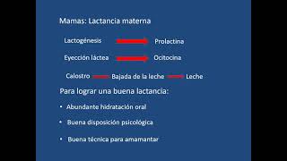 Puerperio normal y patológico  MEDIAVILLA  Obstetricia  Fundación H A Barceló [upl. by Nivrag]