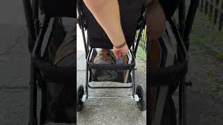 Storage Basket  Kolcraft® Cloud Plus Stroller [upl. by Winfrid119]