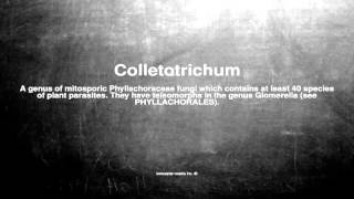 Medical vocabulary What does Colletotrichum mean [upl. by Redfield]