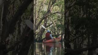 Kuringgai Chase National Park New South Wales Australia [upl. by Elcin]