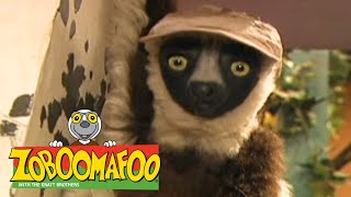 Zoboomafoo with the Kratt Brothers SPOTS amp STRIPES  Full Episodes Compilation [upl. by Nehpets]