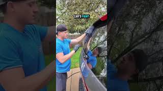 Renowned car care armor pro ceramic coating automobile detaillife carcleaning detailing diy [upl. by Diandra]