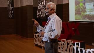 Dignity to Farmer amp Farmer Friendly Techniques  Chandrashekhar Bhadsavle  TEDxSomaiyaVidyavihar [upl. by Adnolat180]