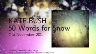 Kate Bush 50 Words for Snow  Teaser  Brand new Album  9 [upl. by Leahciam953]