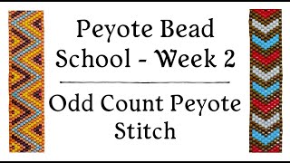 Odd Count Peyote Stitch  Peyote Bead School  Week 2 [upl. by Ymorej]