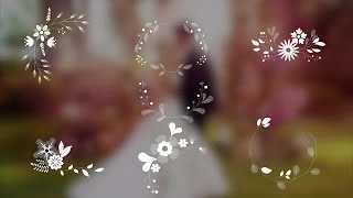 7 Wedding Ornaments With Flowers Stock Motion Graphics [upl. by Dihsar]