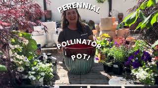 Planting a Perennial Pollinator Pot [upl. by Suirradal869]