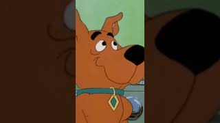 Scooby Loo  Scrappy Doo cartoon scrappydoo scoobydoofirstfrights ruadalmatas101 [upl. by Ahsael]