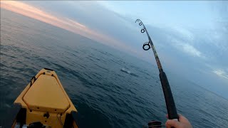 Found A Striper Blitz  Jigging Bucktails For Seabass and More Exploring Rhode Island [upl. by Kitchen]