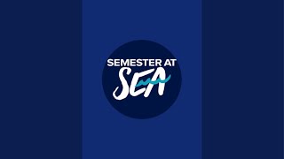 Semester at Sea is live [upl. by Mabelle]