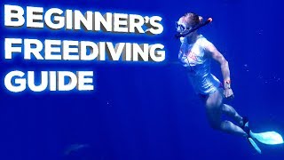 Freediving Gear Guide [upl. by Eesyak]