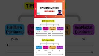 Thyroid Carcinoma  Shorts  Types Mnemonic  Endocrinology  Medi Trix [upl. by Annodahs]