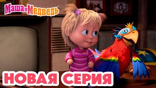 Маша и Медведь 💥 НОВАЯ СЕРИЯ 💥 Это не РиодеЖанейро 🤨🦜 Коллекция мультиков про Машу [upl. by Dwaine]