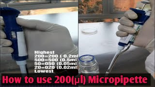 How to use Micropipette 200µl [upl. by Refynnej144]