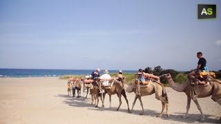 AS Camels to walk over Mojácar’s sand as a tourist attraction [upl. by Kohler563]